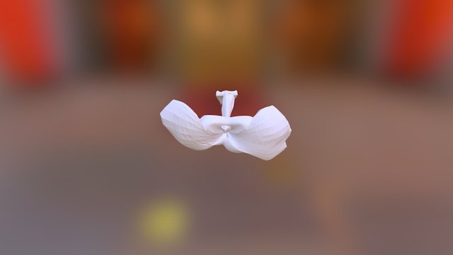 Inverse Duck 3D Model
