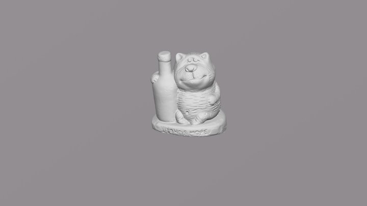 Scan 3D Model
