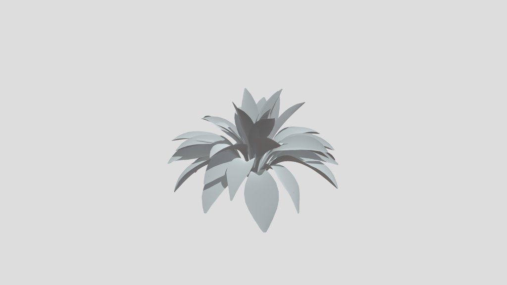 Haran Cast Iron Plant Elder Var