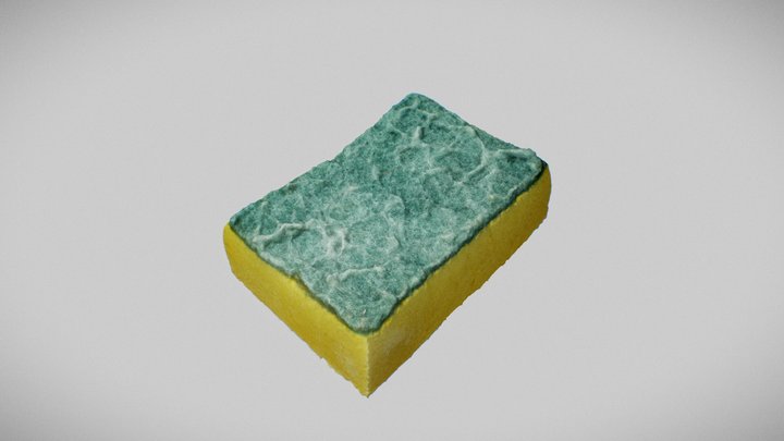 Sponge 3D Model