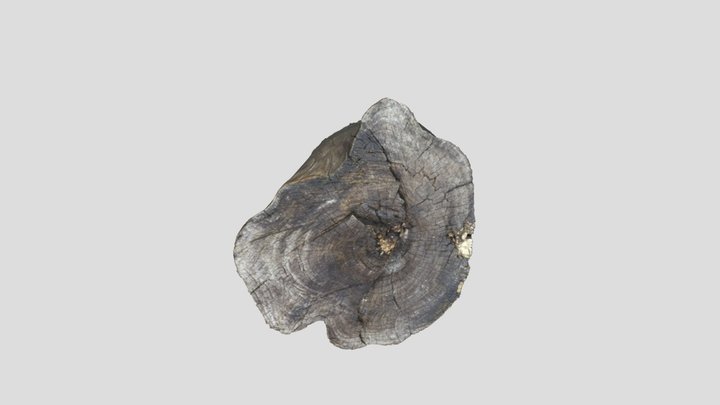 Wood 3D Model