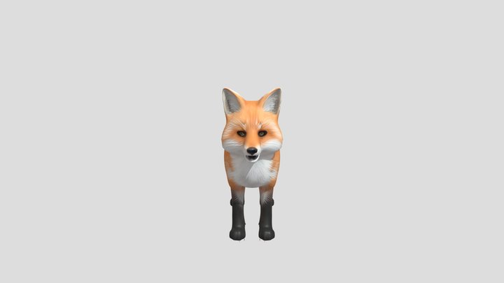 лиса 3D Model