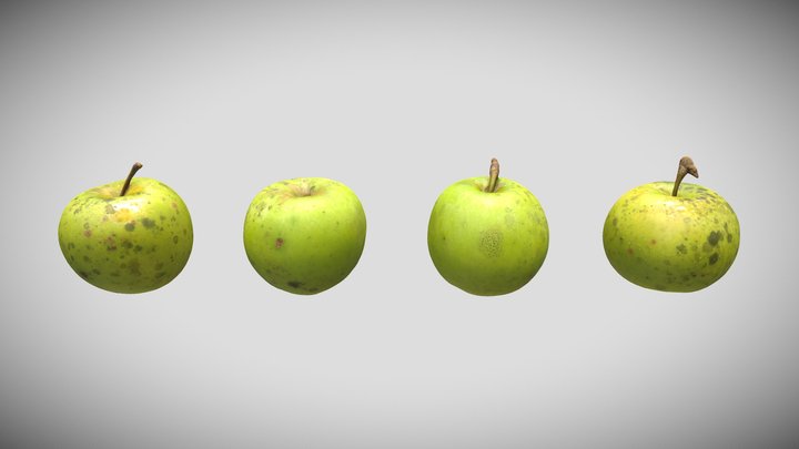 Crispen Apples 4-Pack -3D Scan- Natural Orchard 3D Model