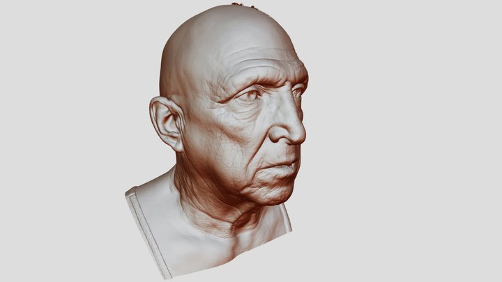 Head Scan 3D Model