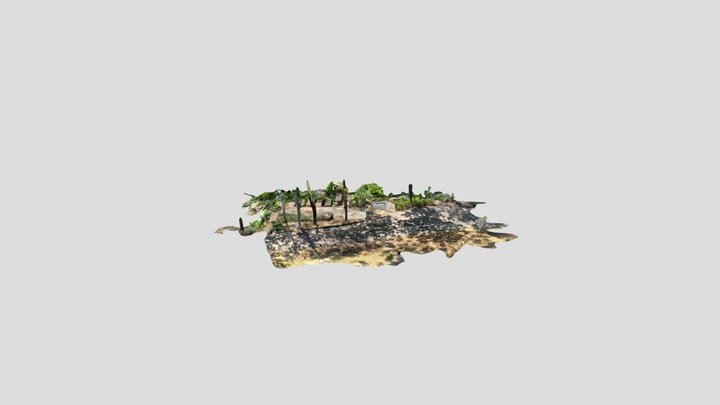 Ming_scan 3D Model