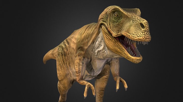Tyrannosaurus Rex Lowpoly 3D Model