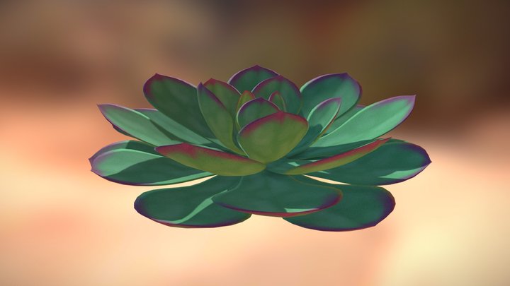 Low Poly Purple Echeveria 3D Model