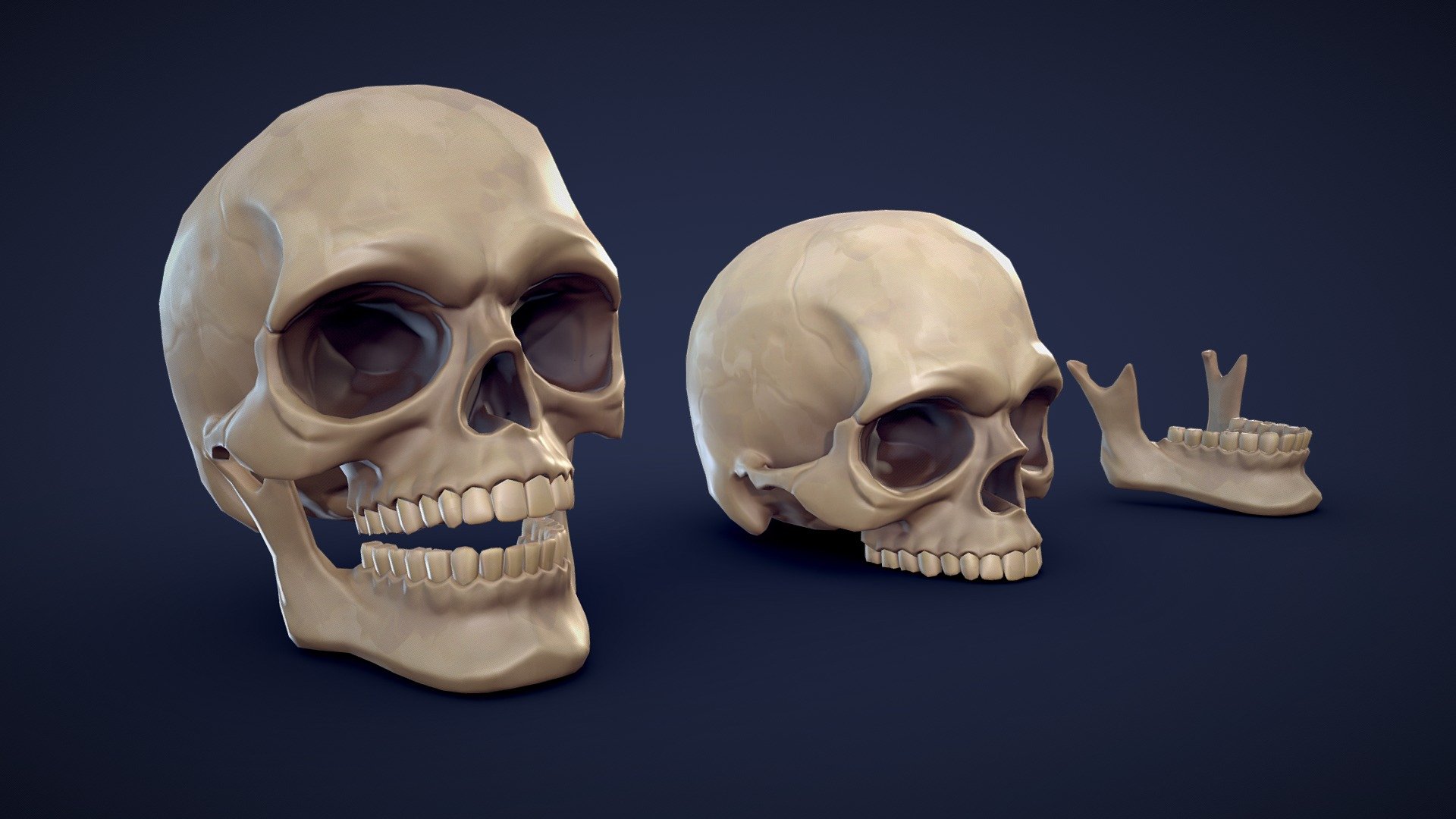 Stylized Human Skull - Low Poly - Buy Royalty Free 3D model by Lars ...
