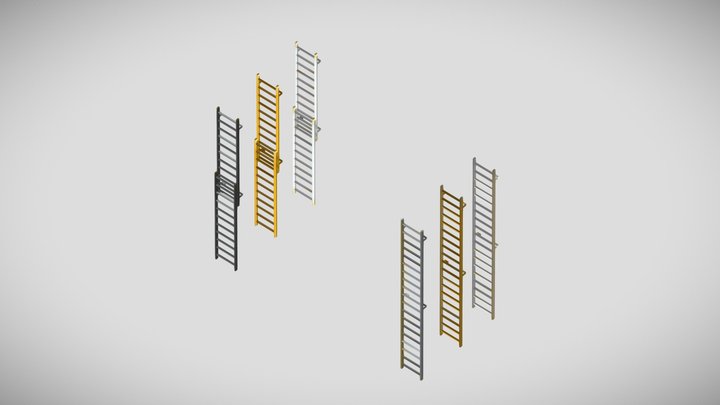 Vertical and Extendable Access ladders 3D Model