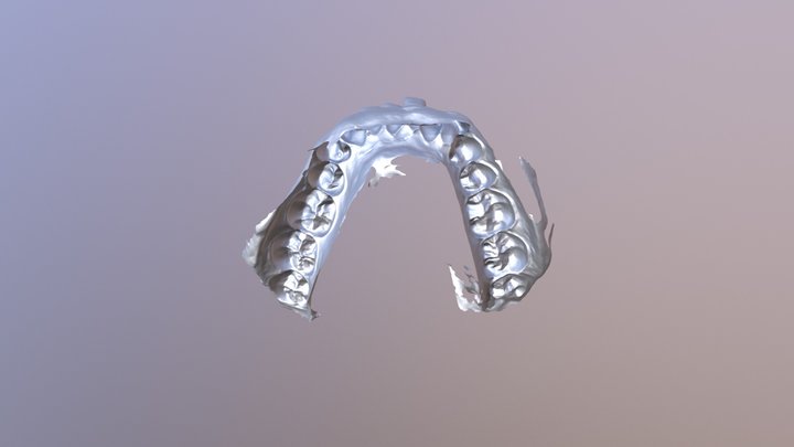 Lower Jaw Scan 3D Model