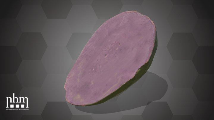Guava (NHMW-AFW-DING-0046-003) – Kostenloses 3D-Modell STL