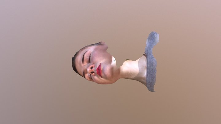 Face example 3D Model