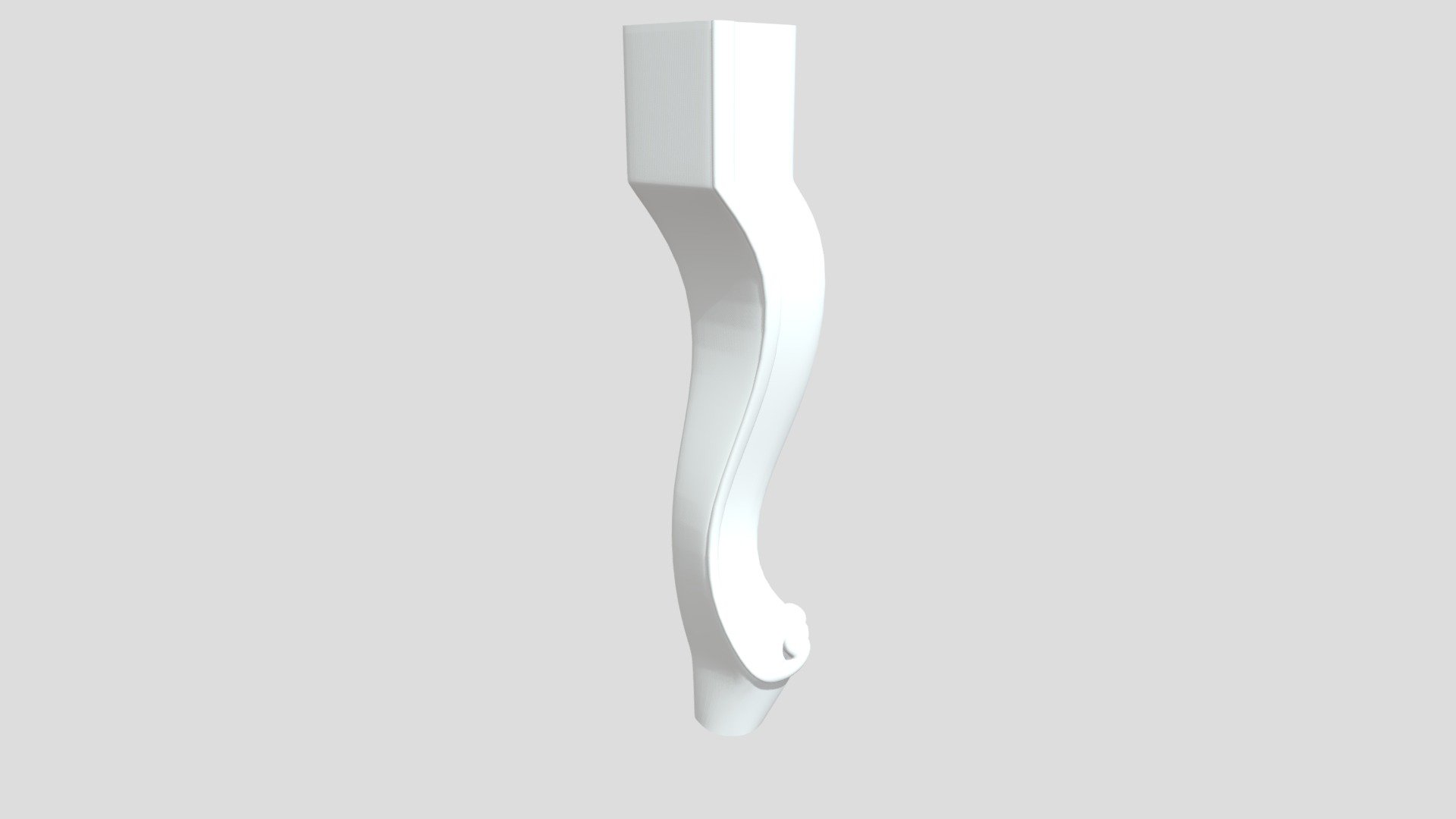 Leg