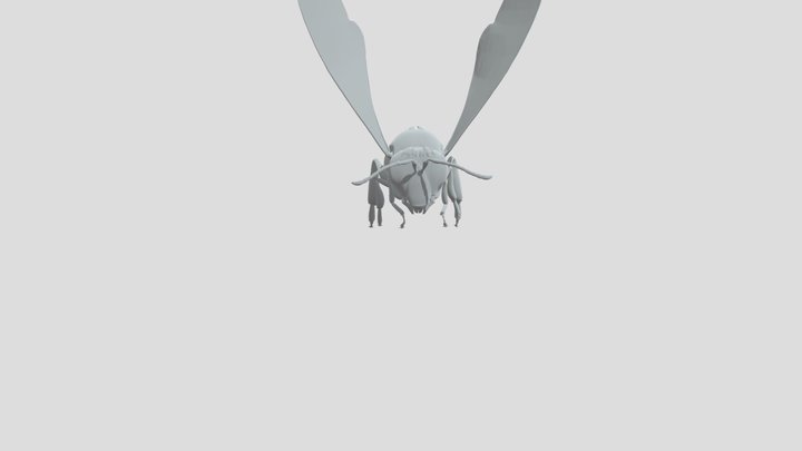 bee 3D Model