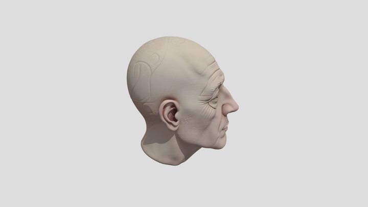 Face Bust by Tripo