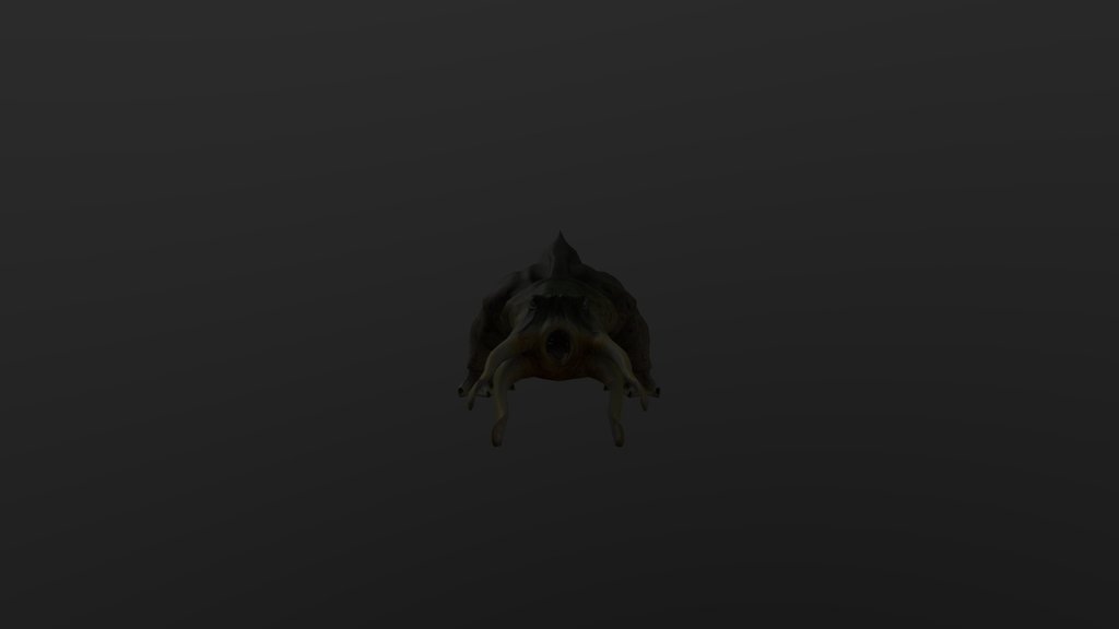 Half- Life 2 (Prototype)  Sea Bullsquid