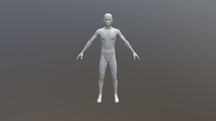 Male Standard 3D Model