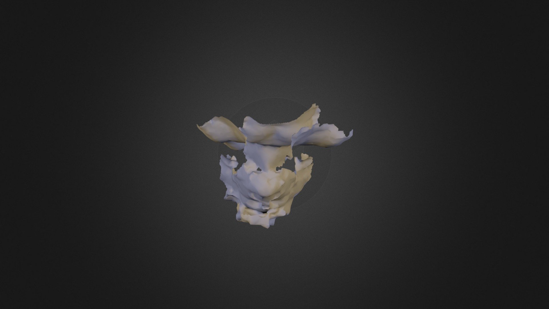 Bust