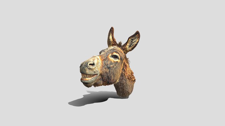 Grinning_ Donkey_ Happy_April_Phool – Modelo 3D gratuito STL
