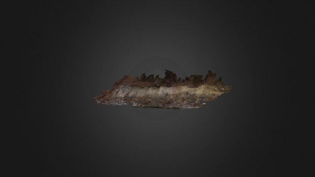 Wilcox Hollow 3D Model