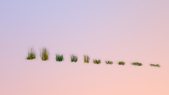 Low poly grass pack 3D Model