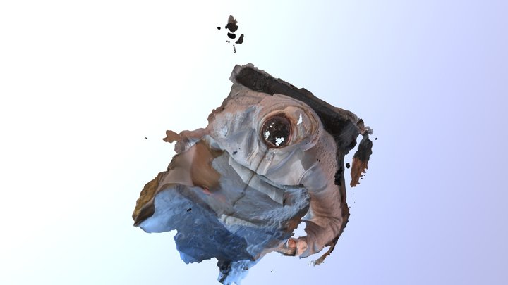 marcin fbx 3D Model