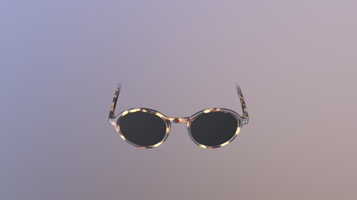 Havana Sunglasses - AR Face Filter 3D Model