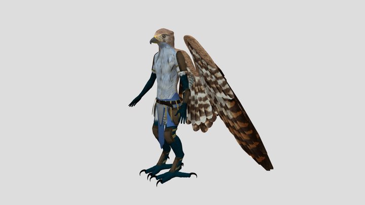 Tribal Bird Clothing 3D Model