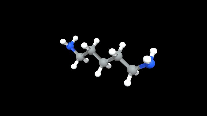 Cadaverine – Kostenloses 3D-Modell STL