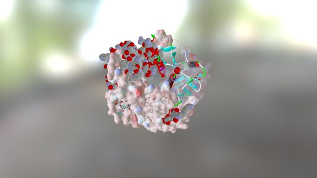 Molecular modelling rendering styles 3D Model