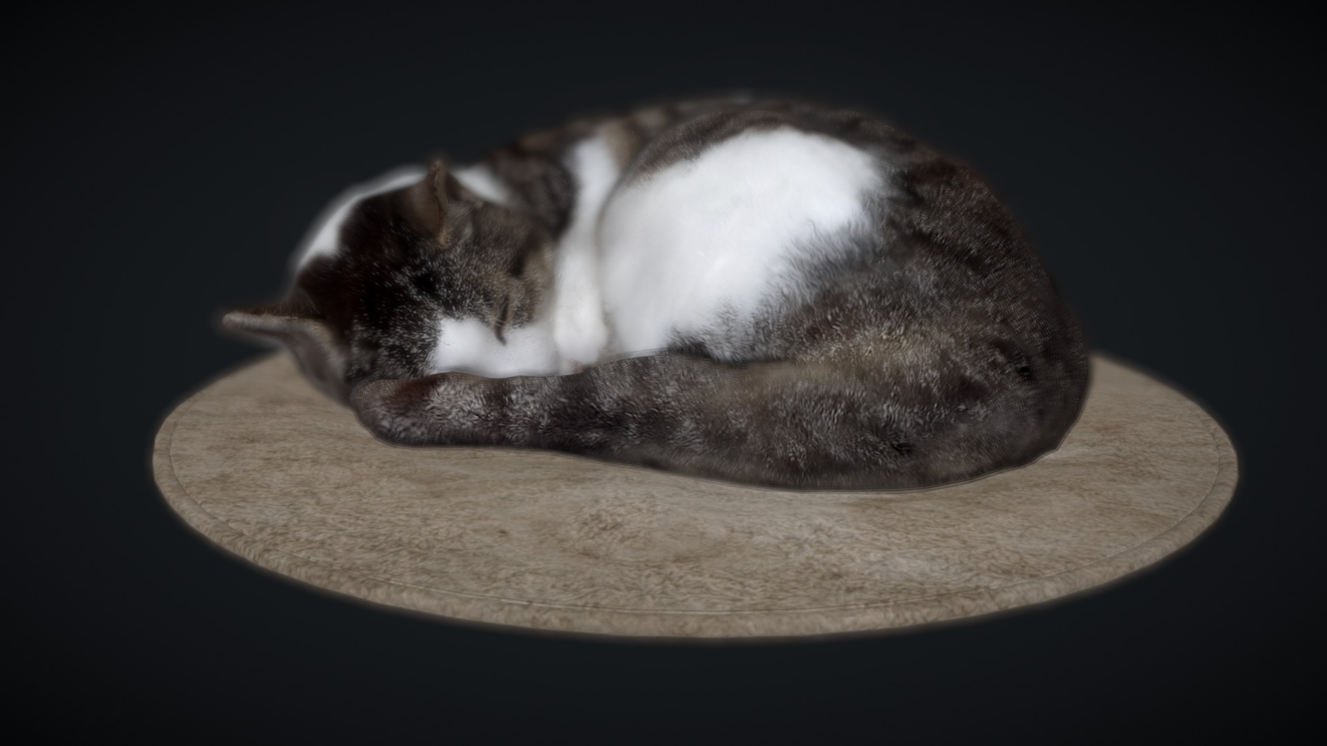 3D model Sleeping on a mat cat - This is a 3D model of the Sleeping on a mat cat. The 3D model is about a cat sleeping on a plate.