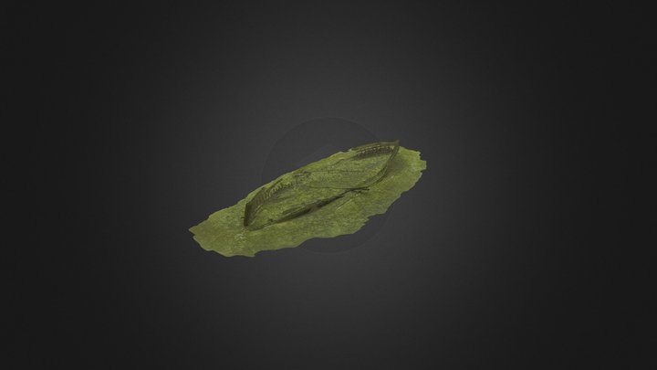 Ossahinta - Skaneateles Lake 3D Model