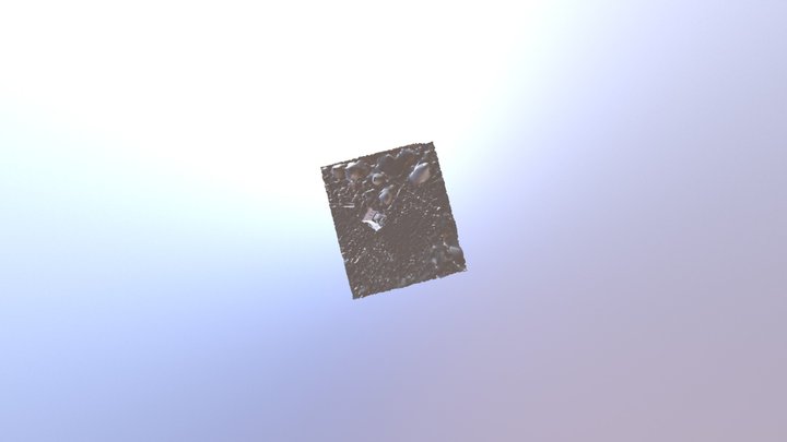 First Test Scan 3D Model