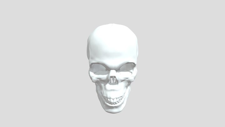 Skull Explosive View 7 3D Model