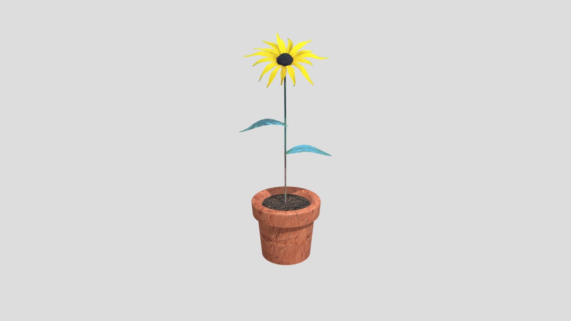 Black-eyed Susan Flower