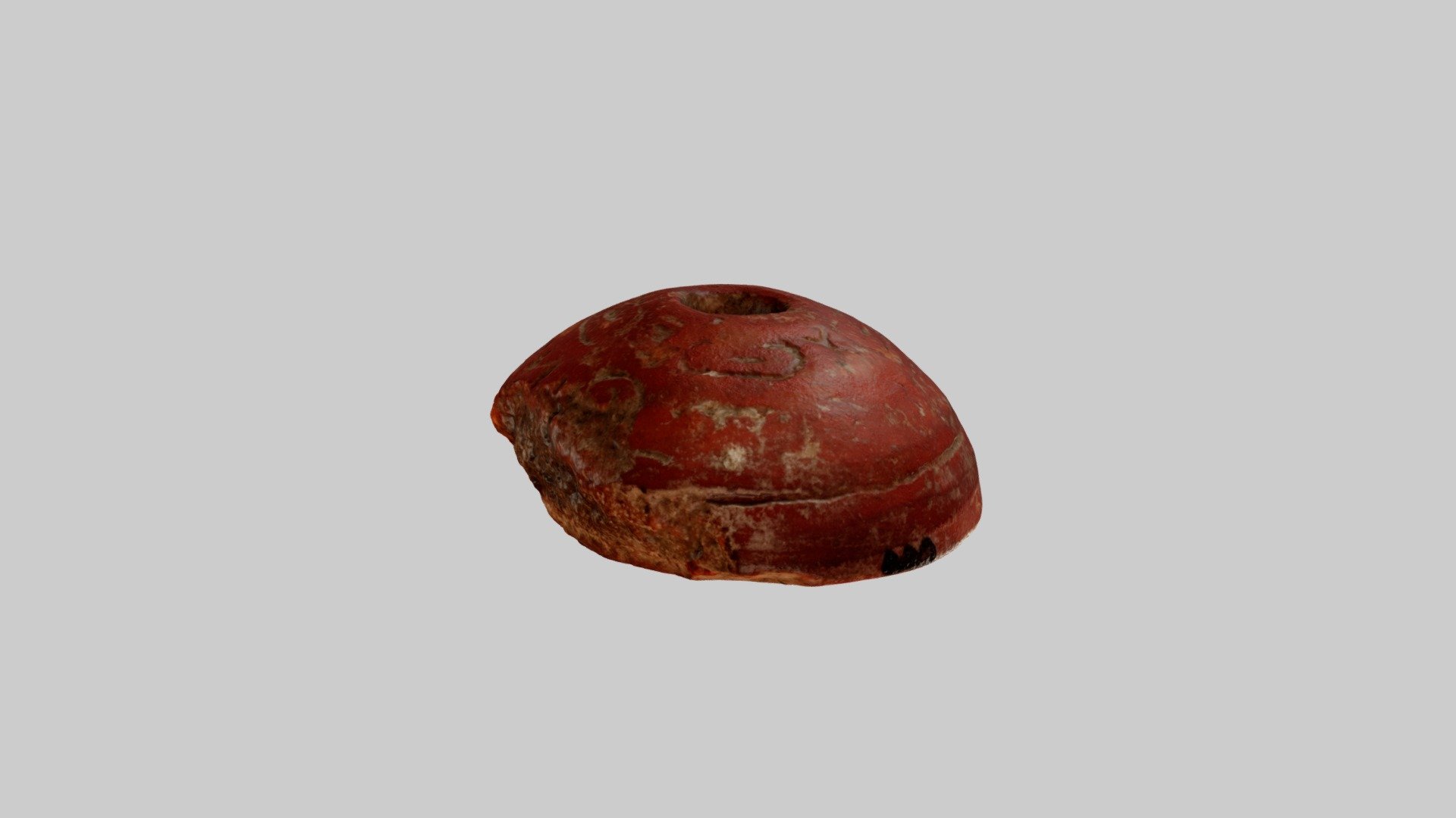 YPM ANT.135938