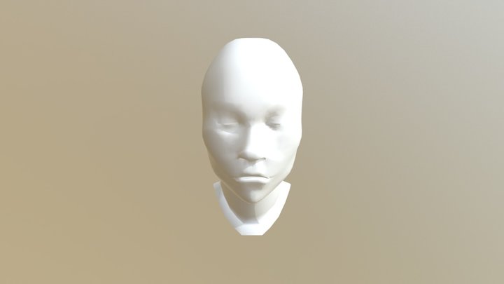 Human Head Model 3D Model