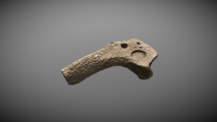 Mystery bone 3D Model