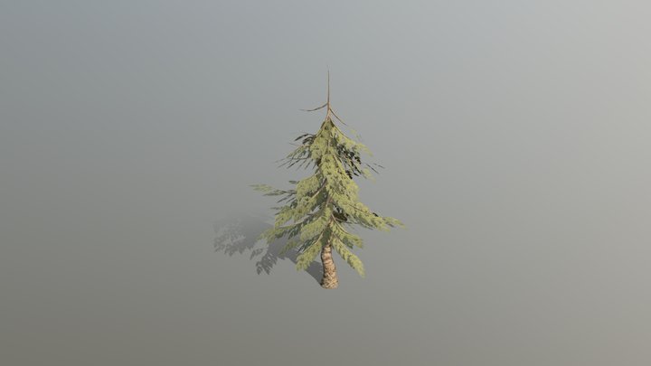 Simple Pine Tree