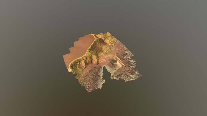 Castle Rock Simplified 3d Mesh 3D Model