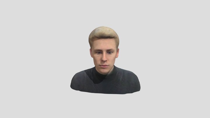 Model 3D Model