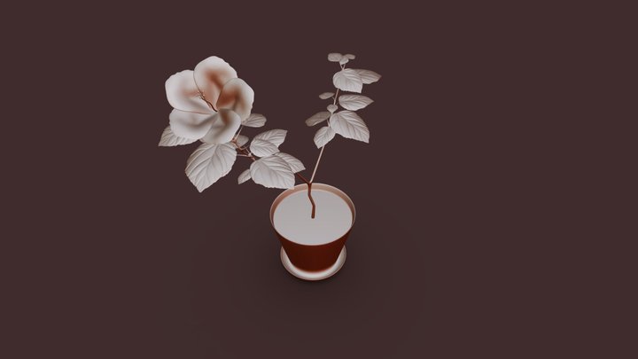 Houseplant "Hibiscus" 3D Model