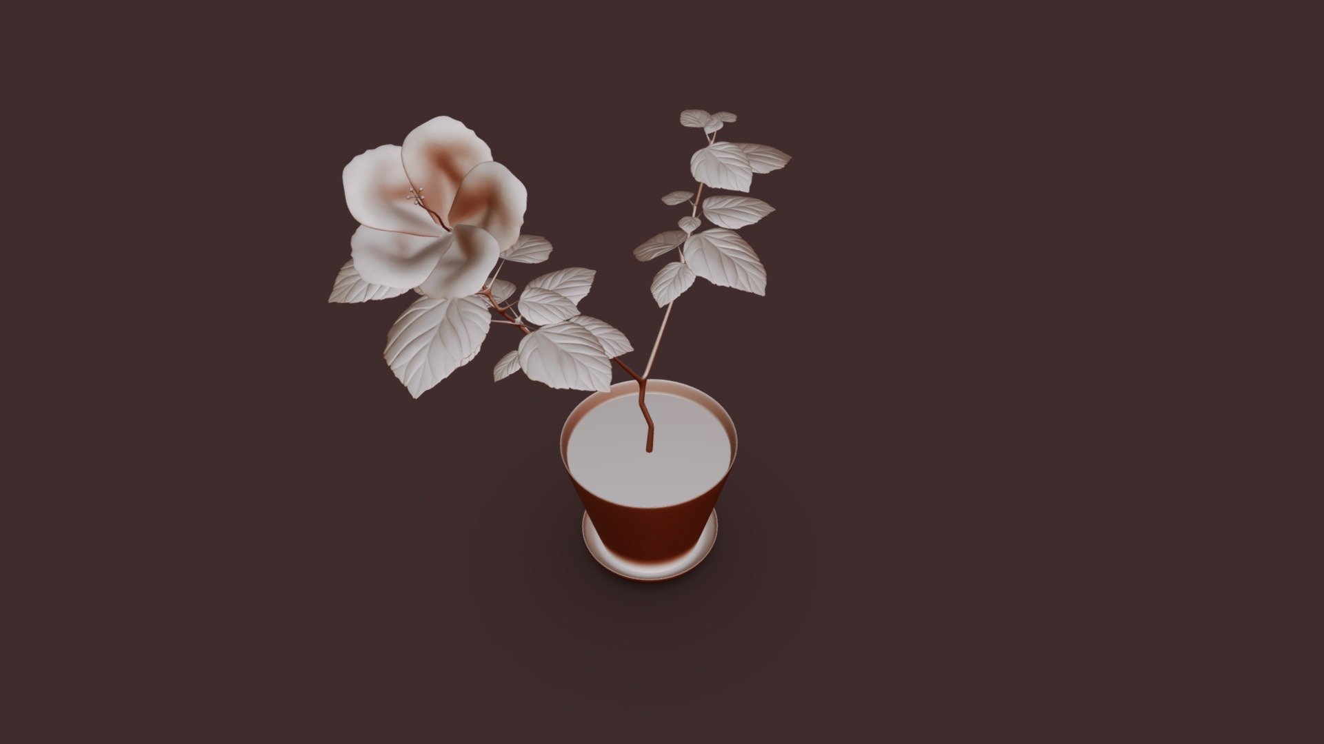 Houseplant "Hibiscus"