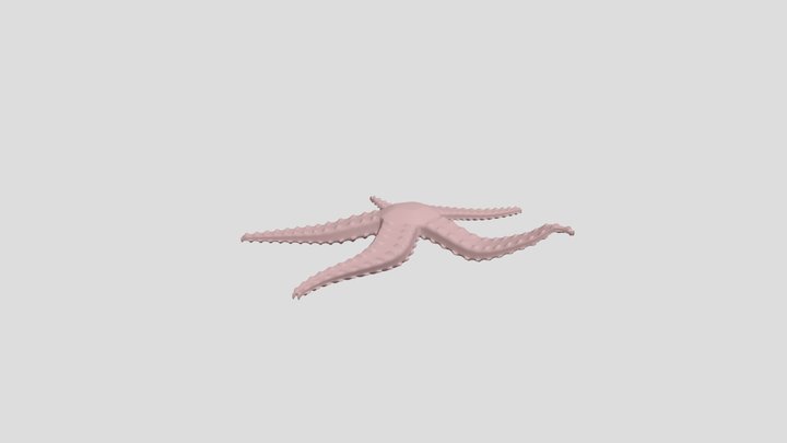 starfish 3D Model