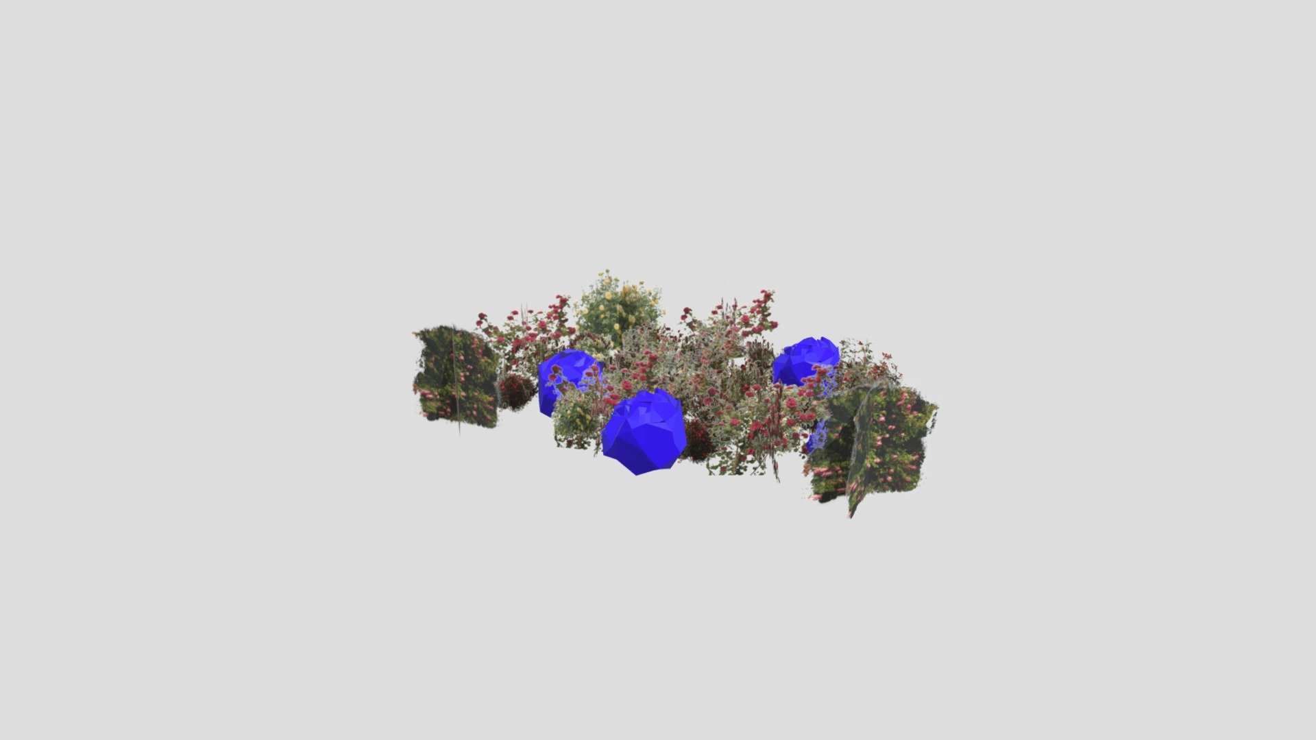 Oogl Roseworld