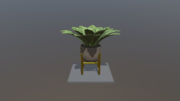 plant2 3D Model
