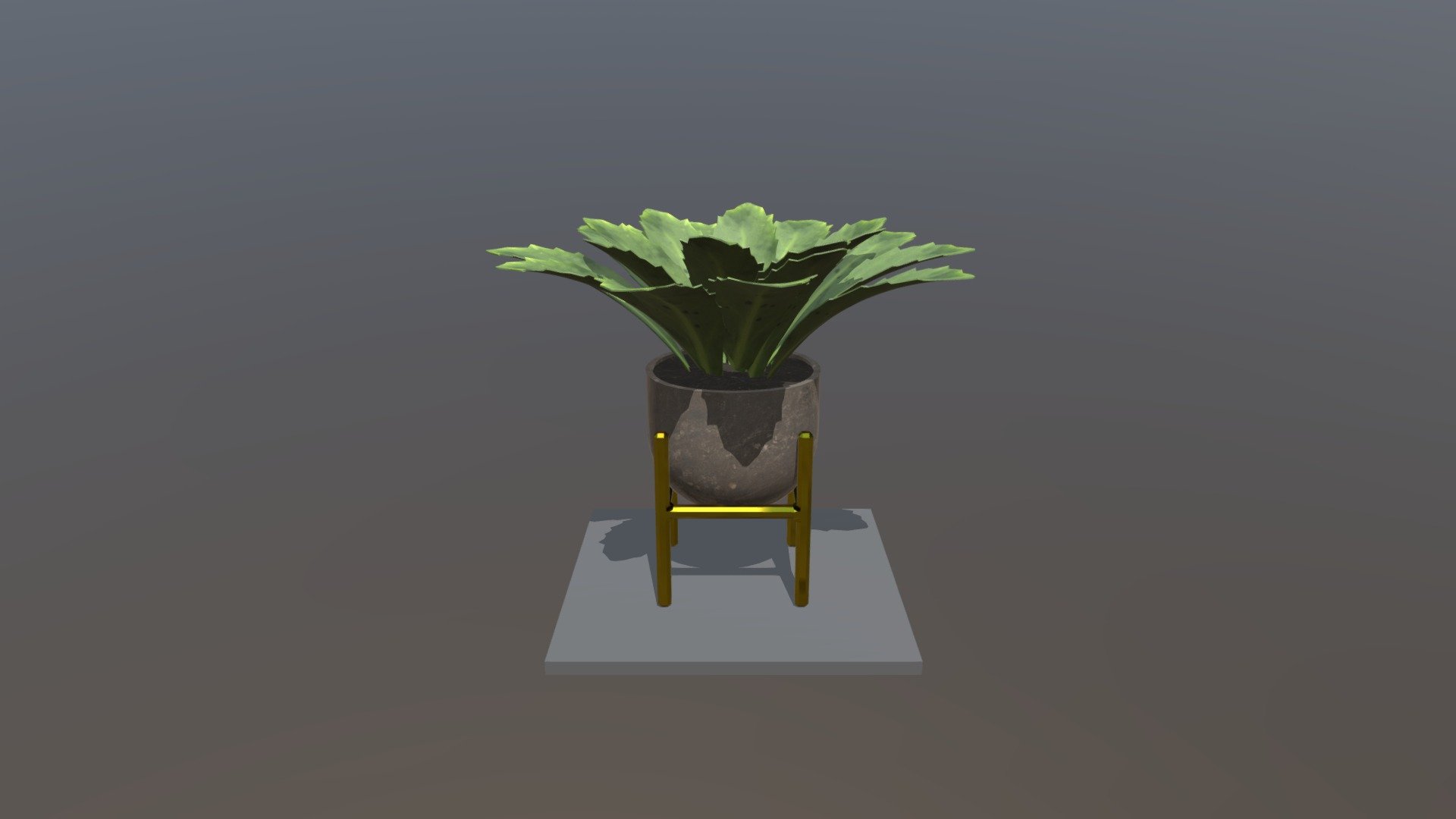 plant2 — Sketchfab embed 3D viewer