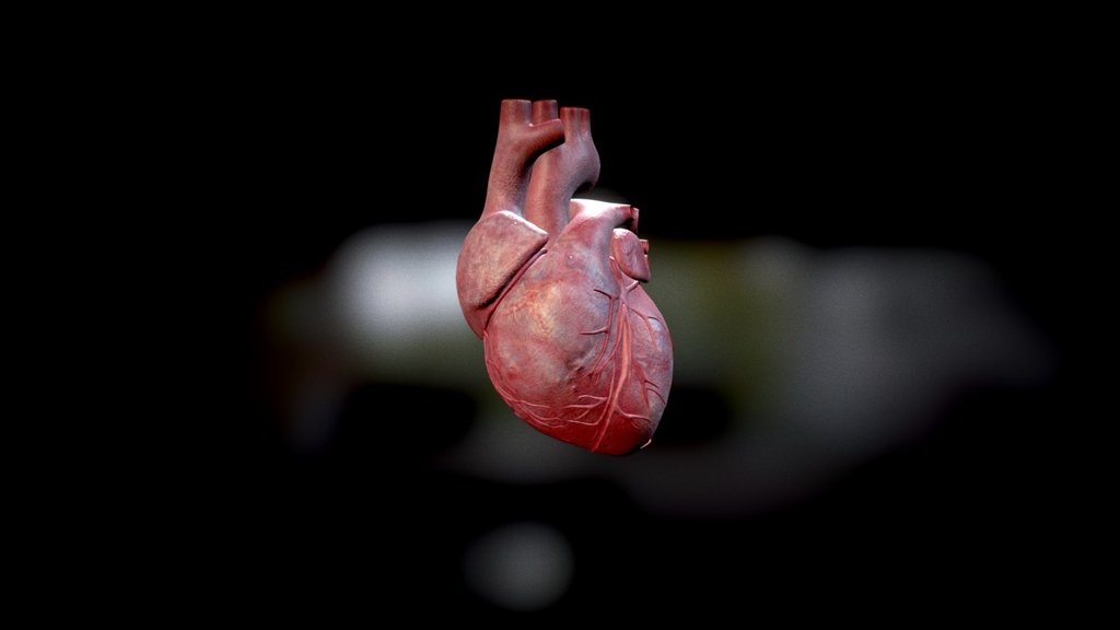 Human Heart (Animated) - 3D model by Demir Zirhli (@zirhlid) [51d8ee8 ...