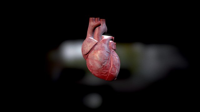 Human Heart (Animated) 3D Model