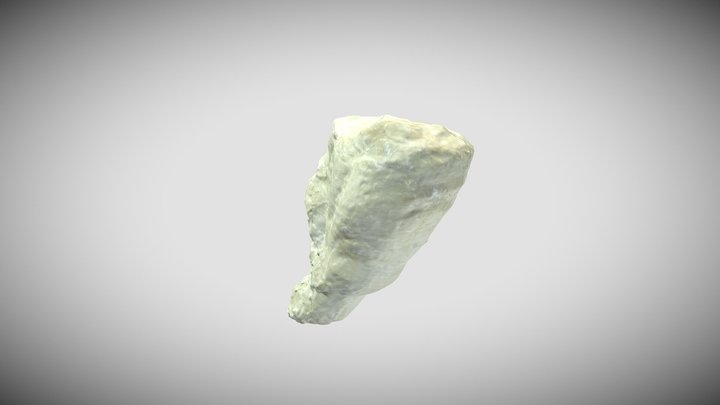Piccola rudista, con opercolo 3D Model